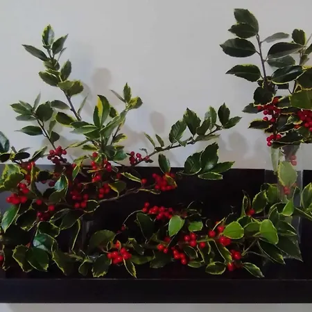 Con Piscina Y Diversion Ria De Vigo Villa *